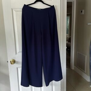 She + Sky wide legged pants. Sz L Color Navy Blue side Zip, lined, pleated front